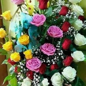 Meet your Posher, Samia